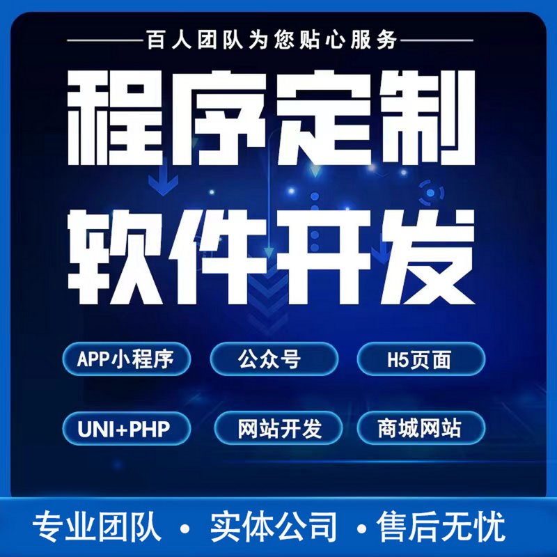定制化软件开发:助力企业精准施策